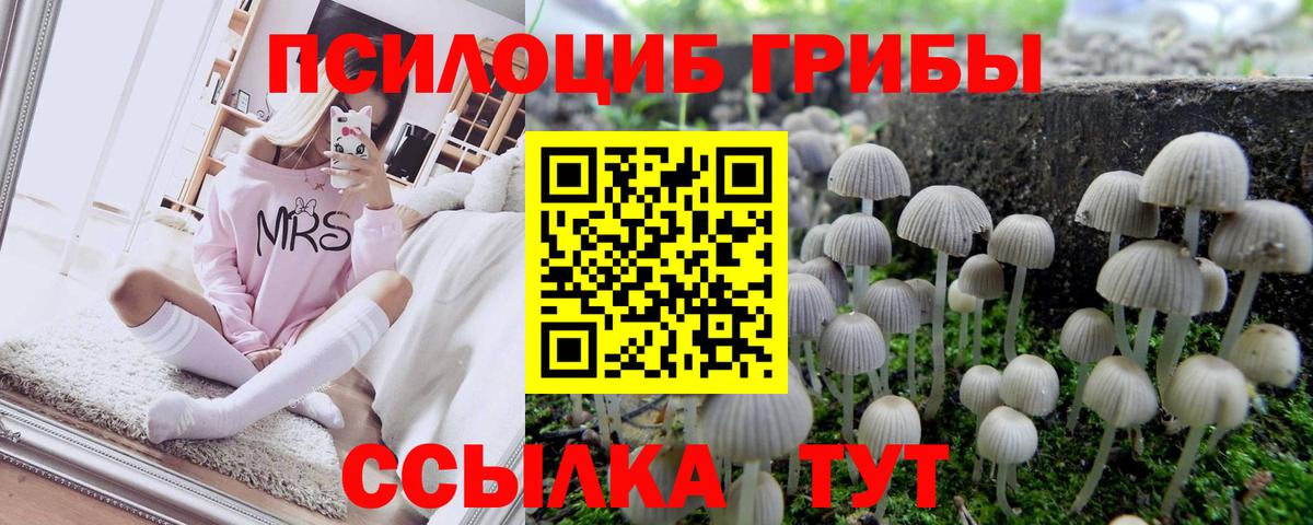 Галлюциногенные грибы ЛСД  Вход с VPN  Медногорск  Галлюциногенные грибы мицелий 